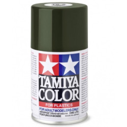 TS2 Vert foncé mat peinture spéciale ABS Tamiya